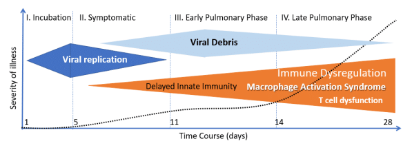 Stages of COVID-19